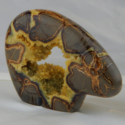 Septarian Nodule Bear