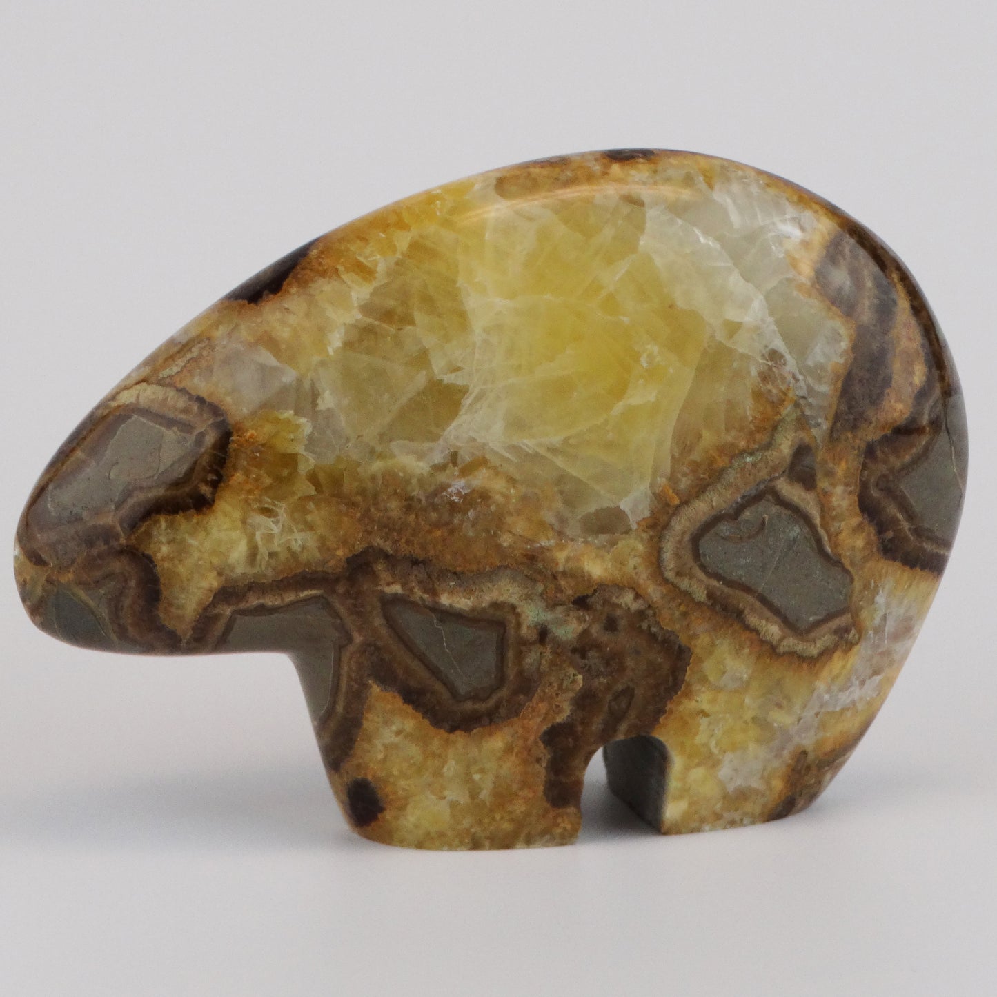 Septarian Nodule Bear