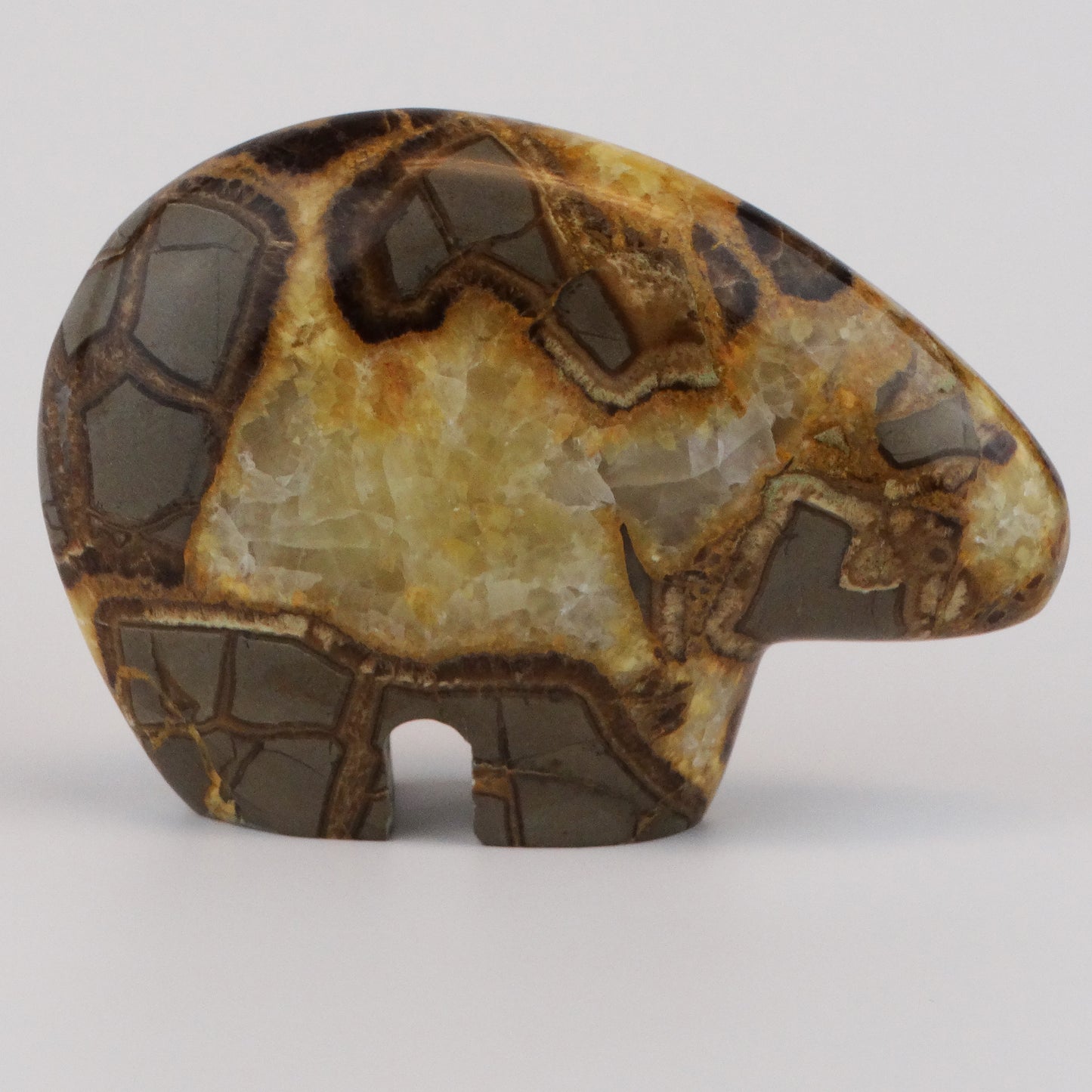 Septarian Nodule Bear