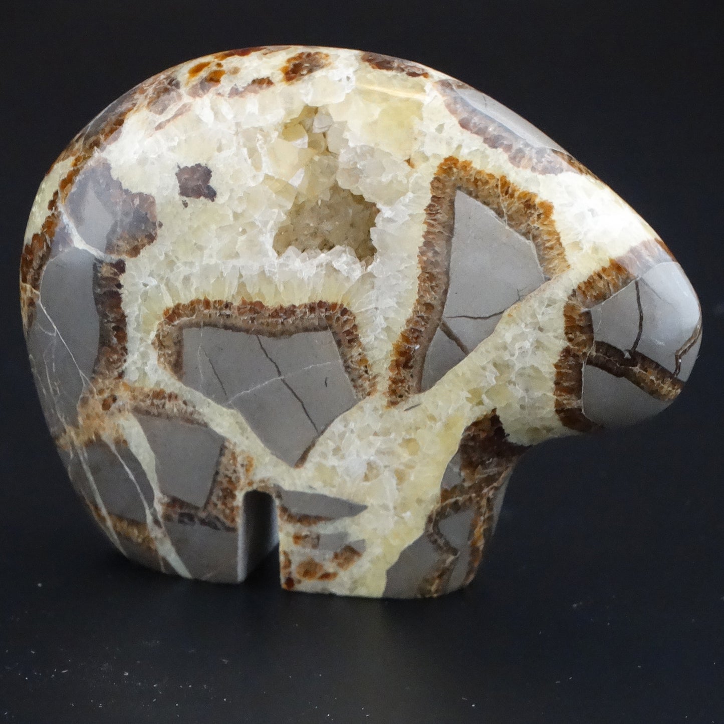 Septarian Nodule Bear