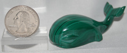 Malachite Whale Carving