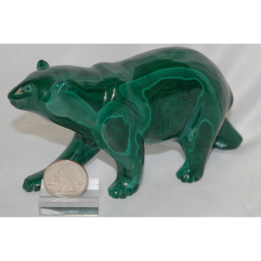 Malachite Bear