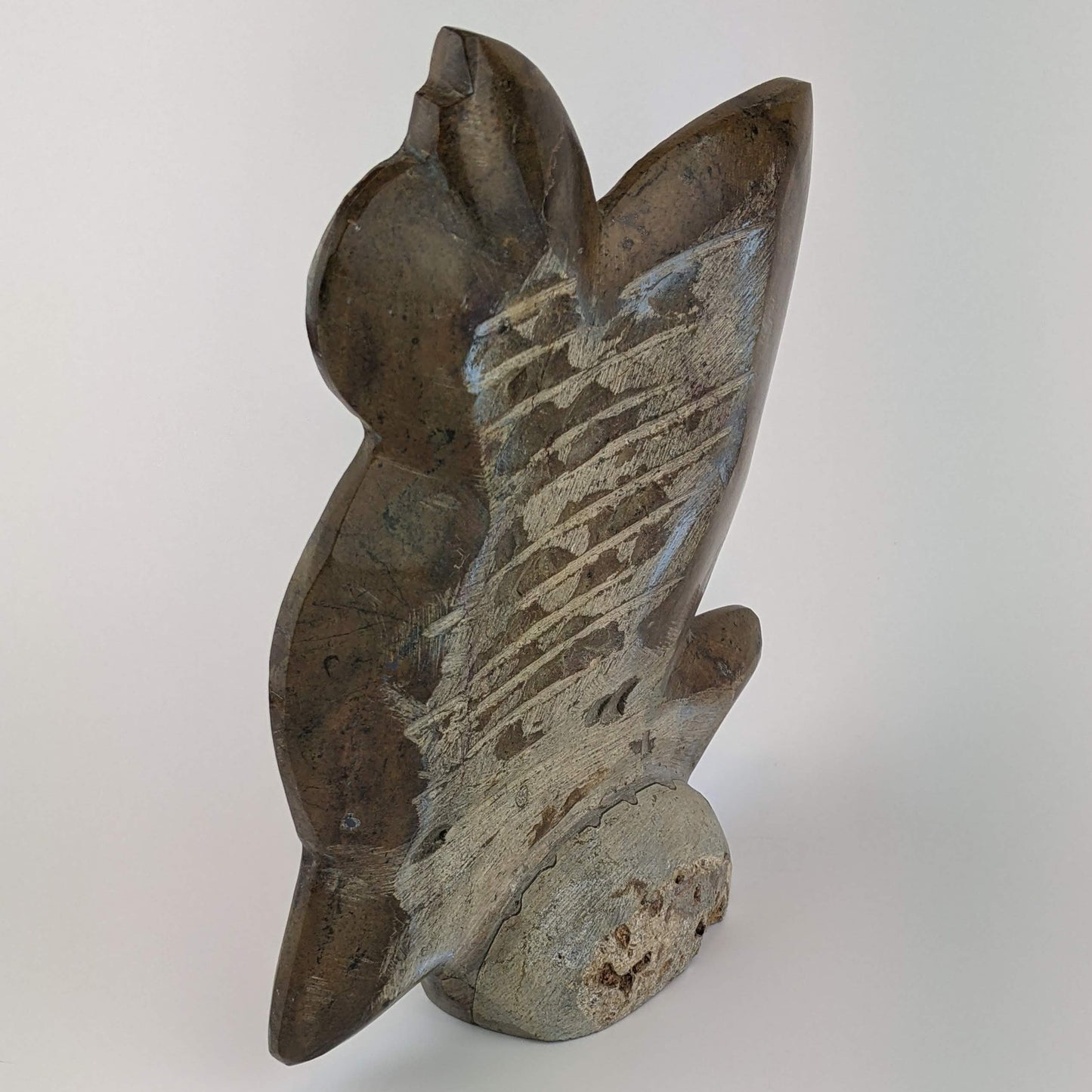 Ammonite & Orthoceras Plaque