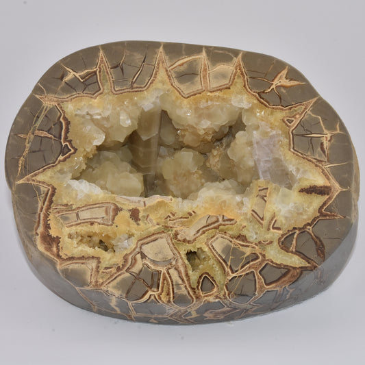 Septarian Nodule Standup