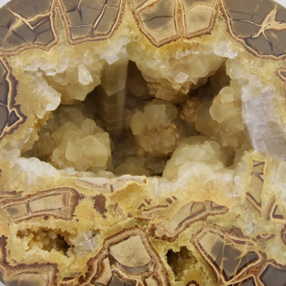 Septarian Nodule Standup