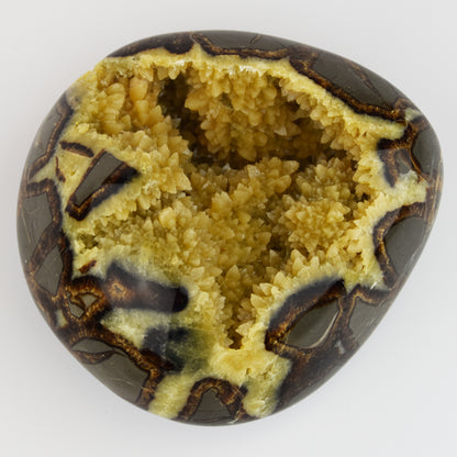 Septarian Nodule Geode