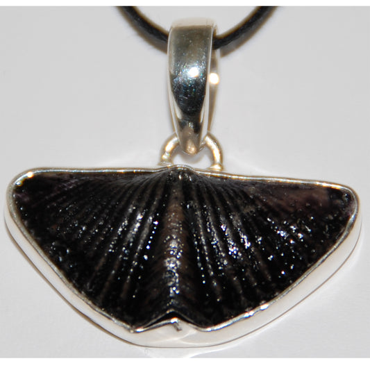 Spirifer Brachiopod Sterling Silver Pendant