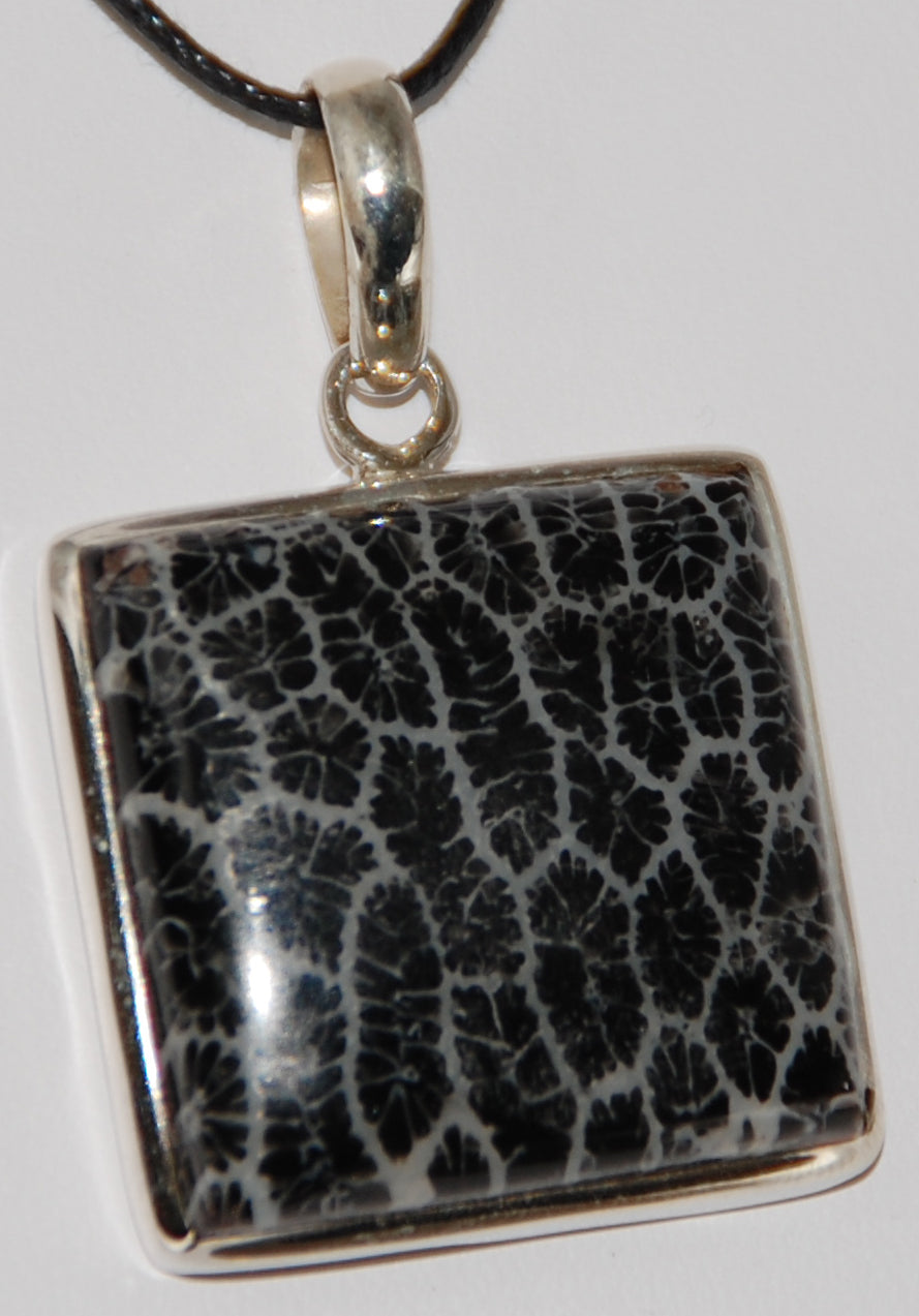 Fossil Black Coral Pendant