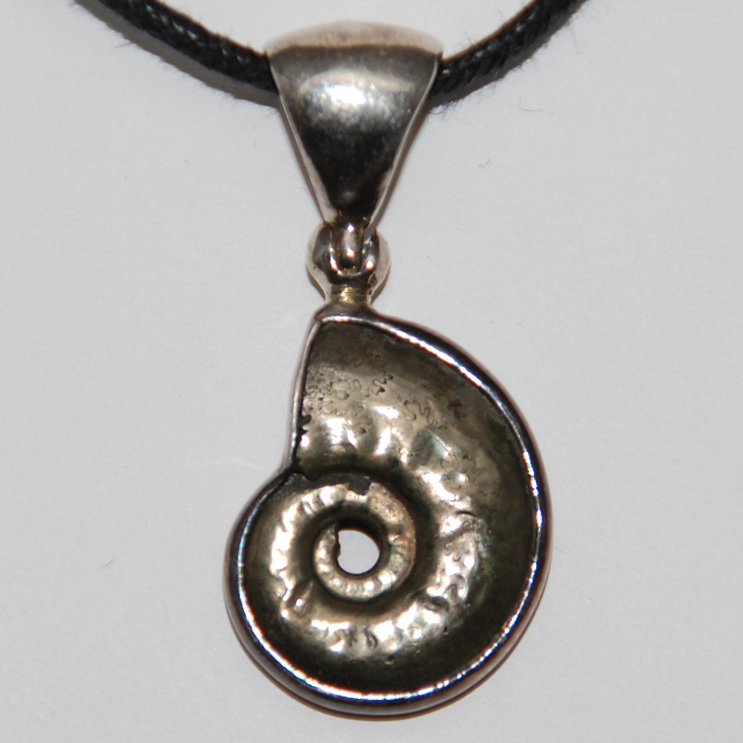 Ammonite Sterling Silver Pendant