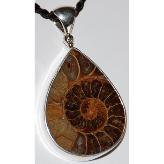 Ammonite Sterling Silver Pendant