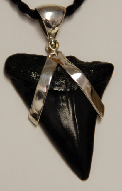 Shark Tooth Pendant
