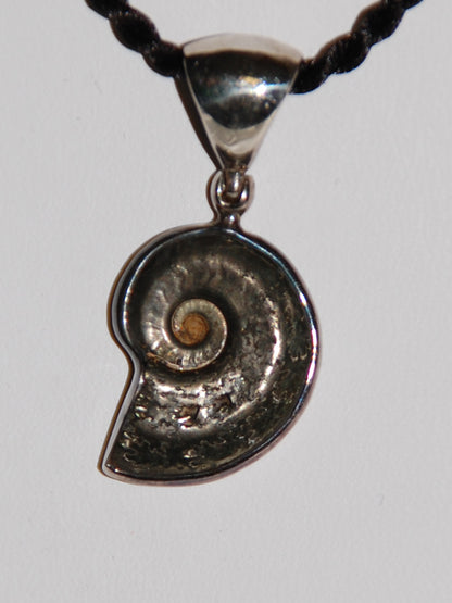 Pyritized Ammonite Pendant