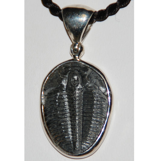 Trilobite Sterling Silver Pendant