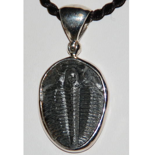 Trilobite Sterling Silver Pendant