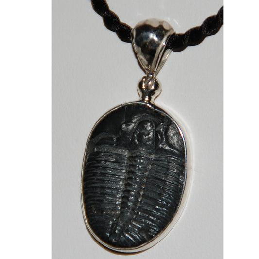 Trilobite Sterling Silver Pendant