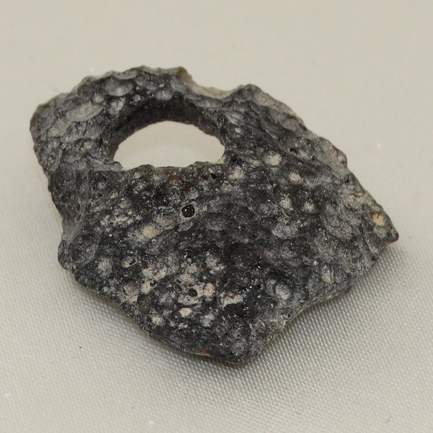 Tektite Specimen