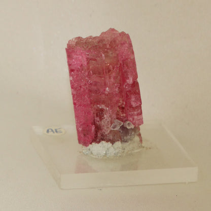 Rubilite Tourmaline Crystal