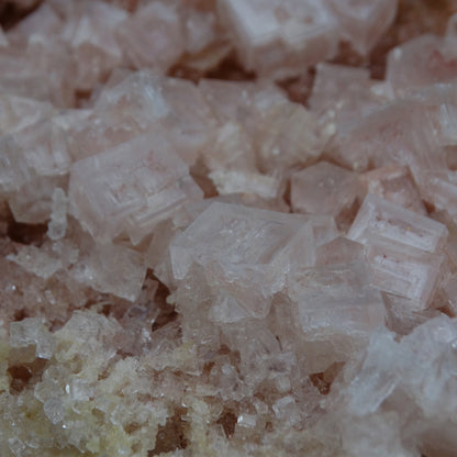Halite Specimen