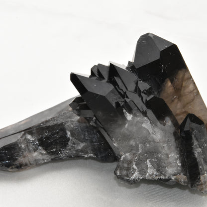 Smoky Quartz Cluster