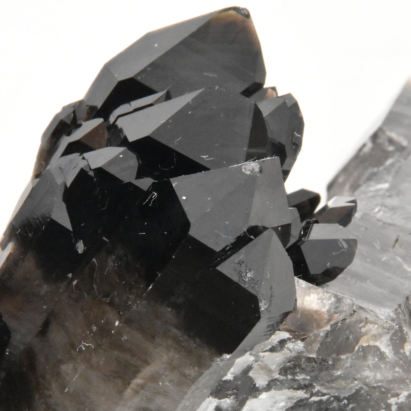 Smoky Quartz Cluster