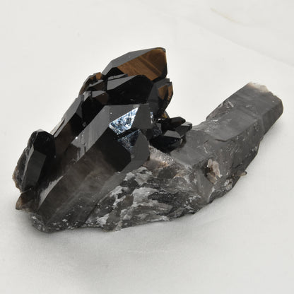Smoky Quartz Cluster
