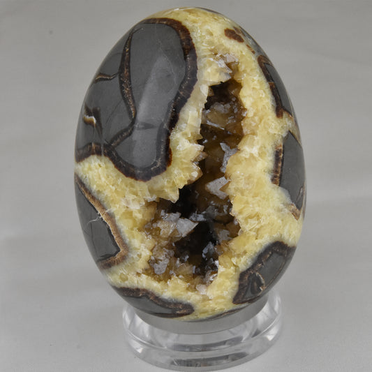 Septarian Nodule Geode Egg