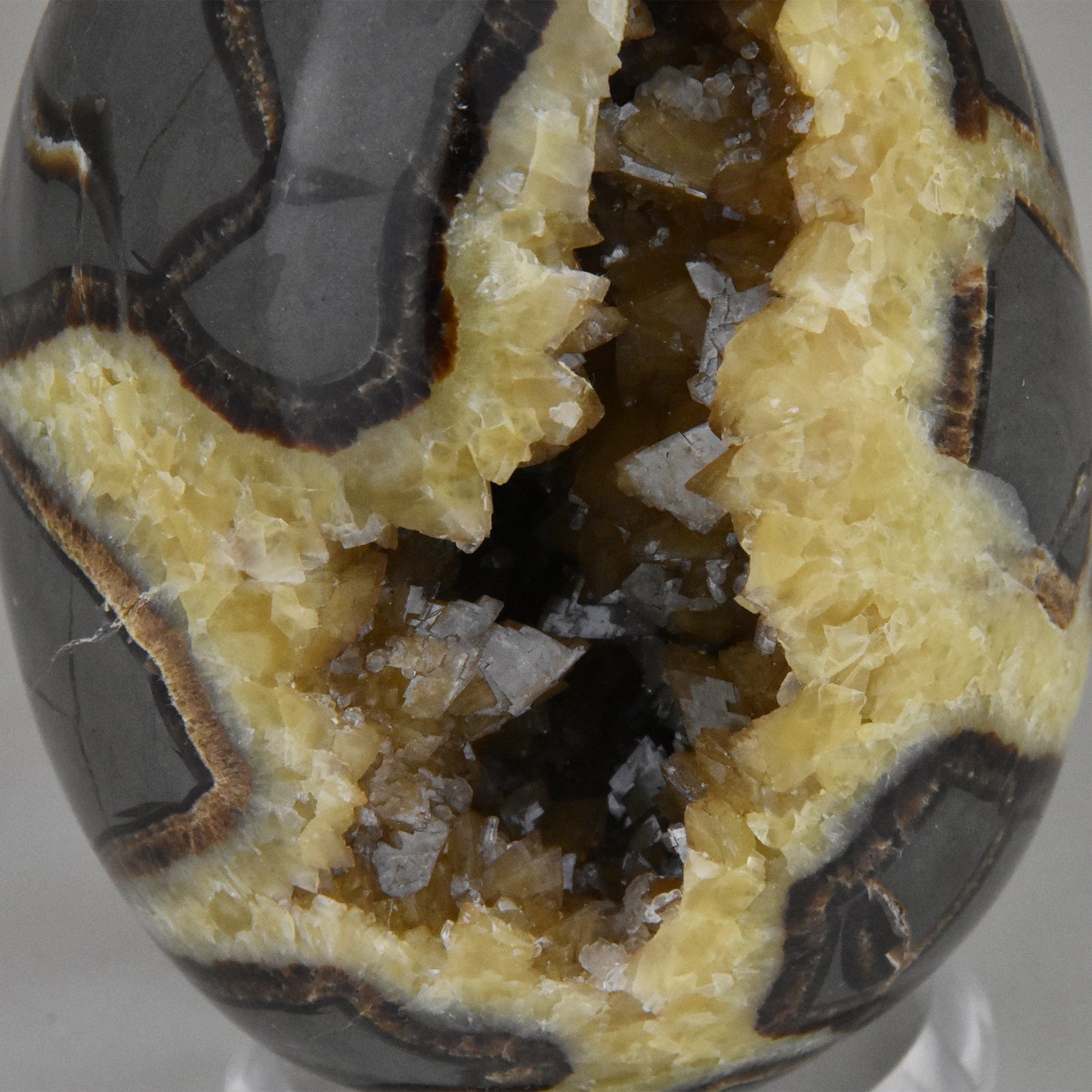 Septarian Nodule Geode Egg