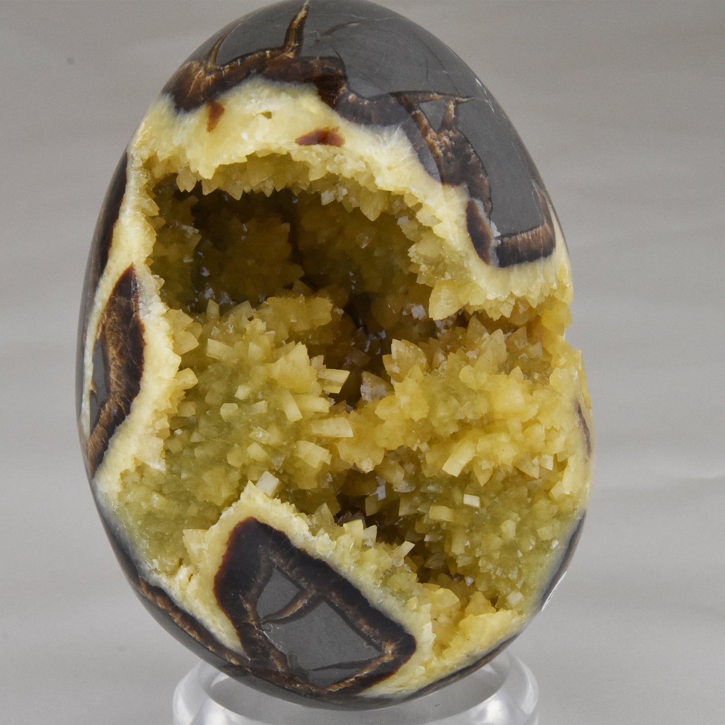 Septarian Nodule Geode Egg