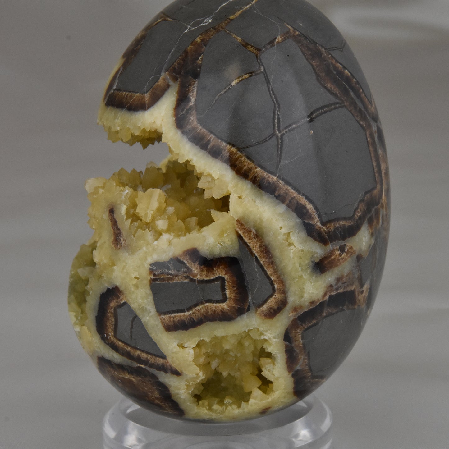 Septarian Nodule Geode Egg