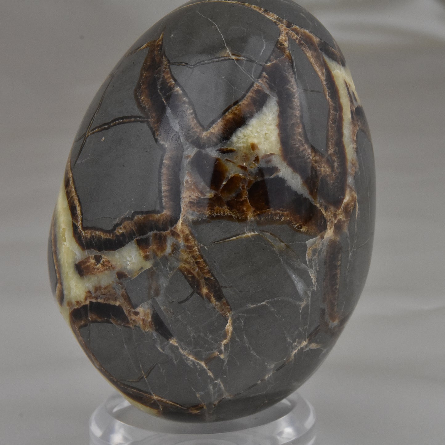 Septarian Nodule Geode Egg