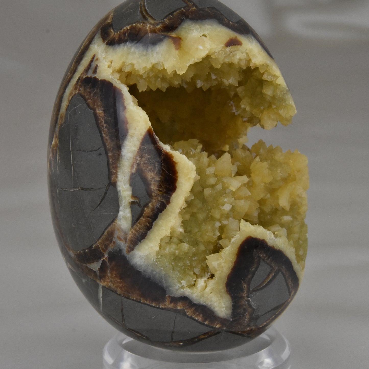 Septarian Nodule Geode Egg