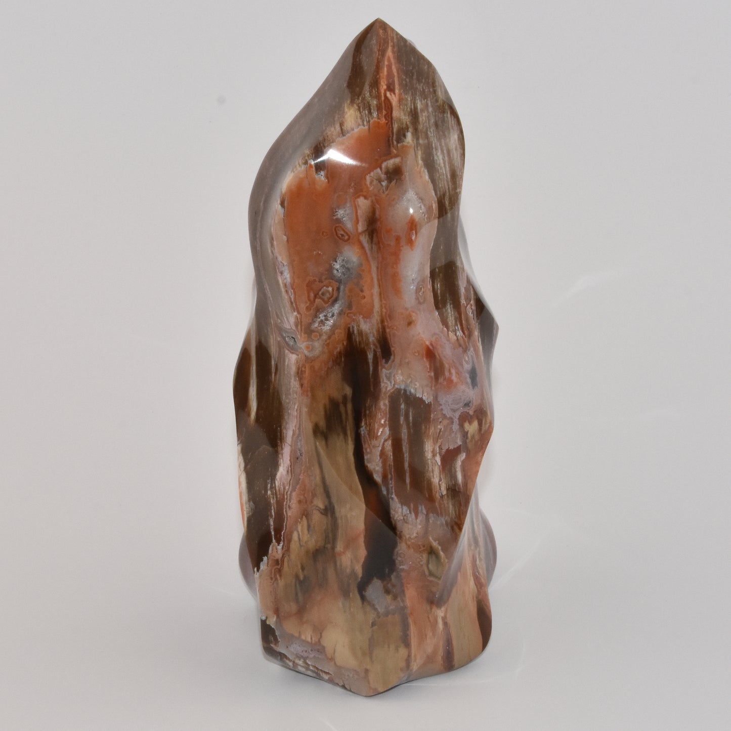 Petrified Wood Flame