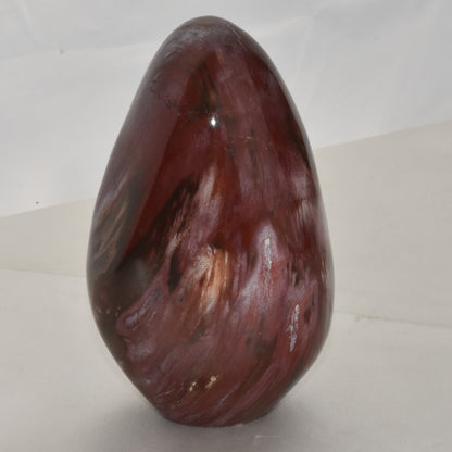 Petrified Wood Free Form