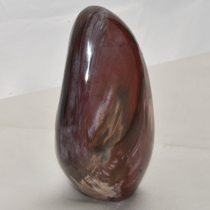 Petrified Wood Free Form