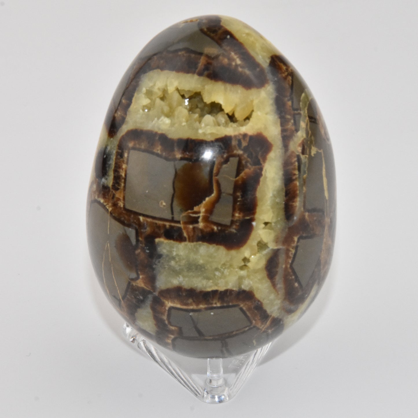 Septarian Geode Egg