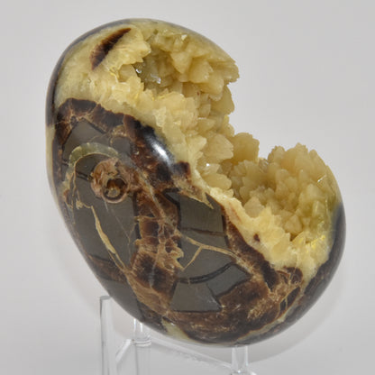 Septarian Geode Egg
