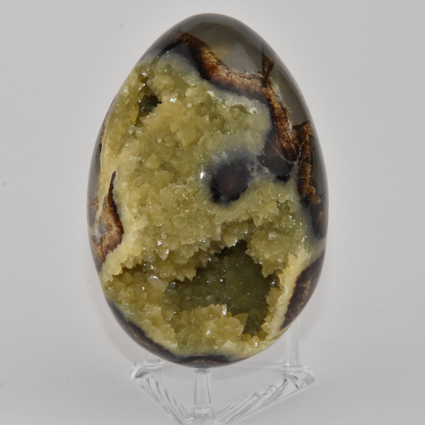 Septarian Nodule Egg