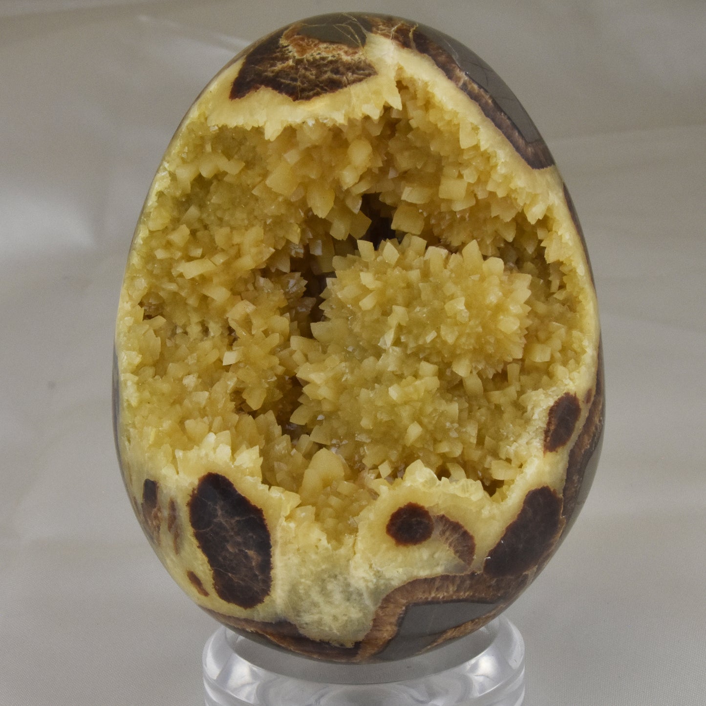 Septarian Nodule Geode Egg