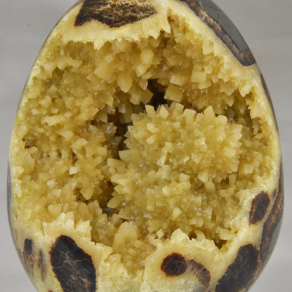 Septarian Nodule Geode Egg