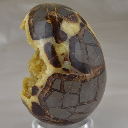 Septarian Nodule Geode Egg