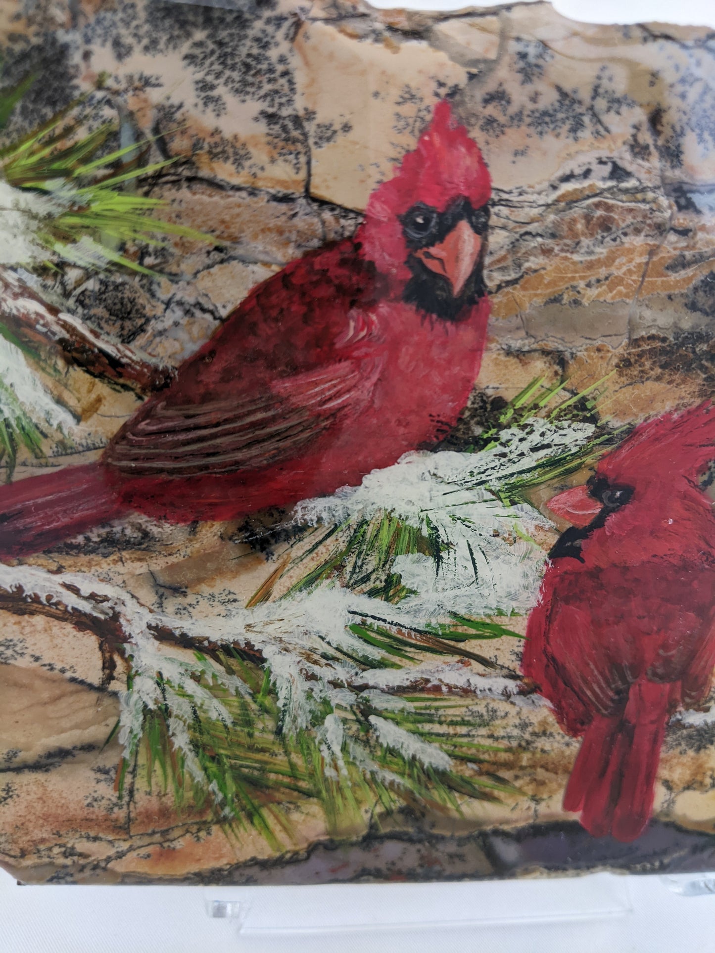Cardinals on Sage Jasper Slice