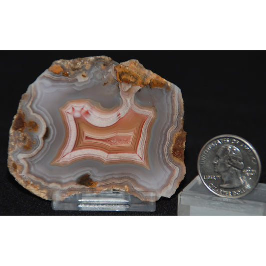 Laguna Agate Slice