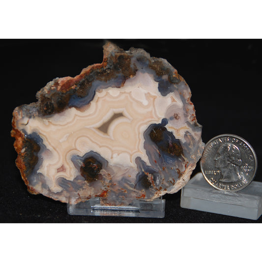 Laguna Agate Slice