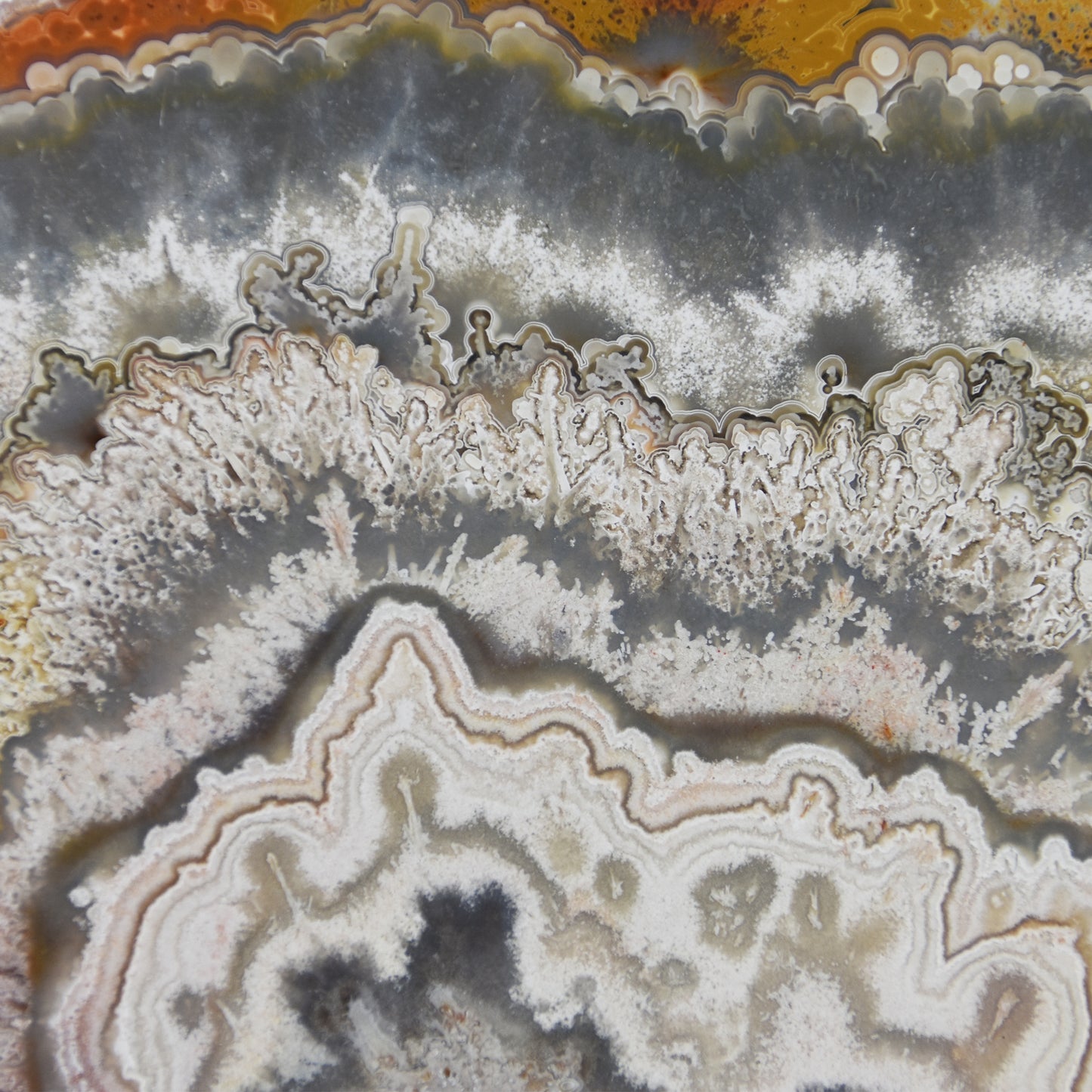 Crazy Lace Agate Slice