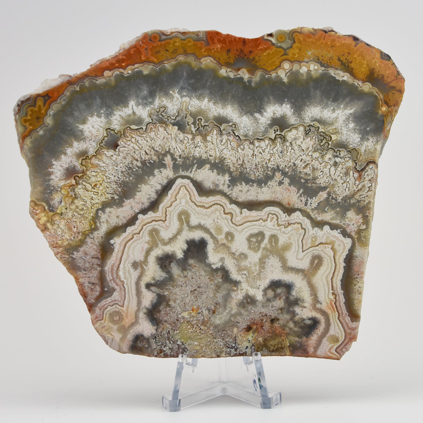 Crazy Lace Agate Slice