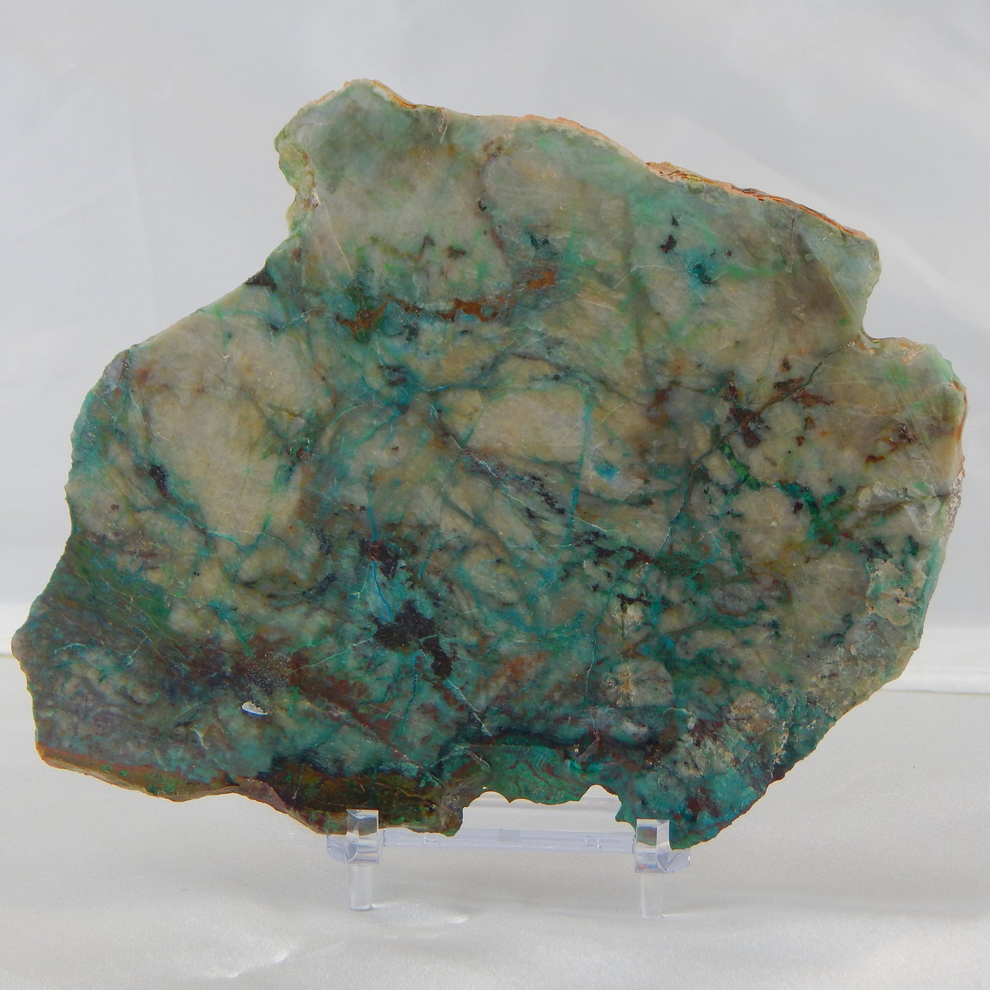 Bear on Chrysocolla