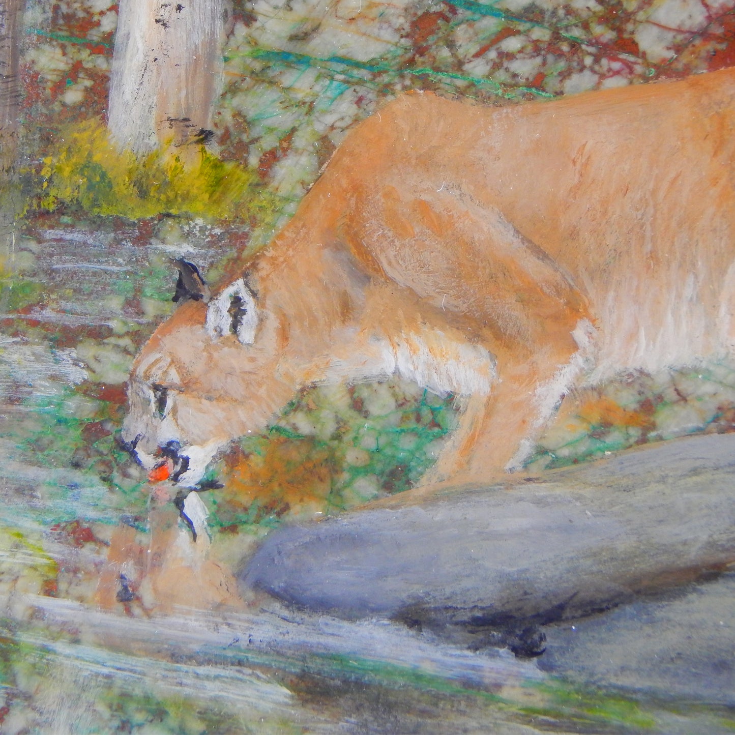 Cougar on Granite & Chrysocolla