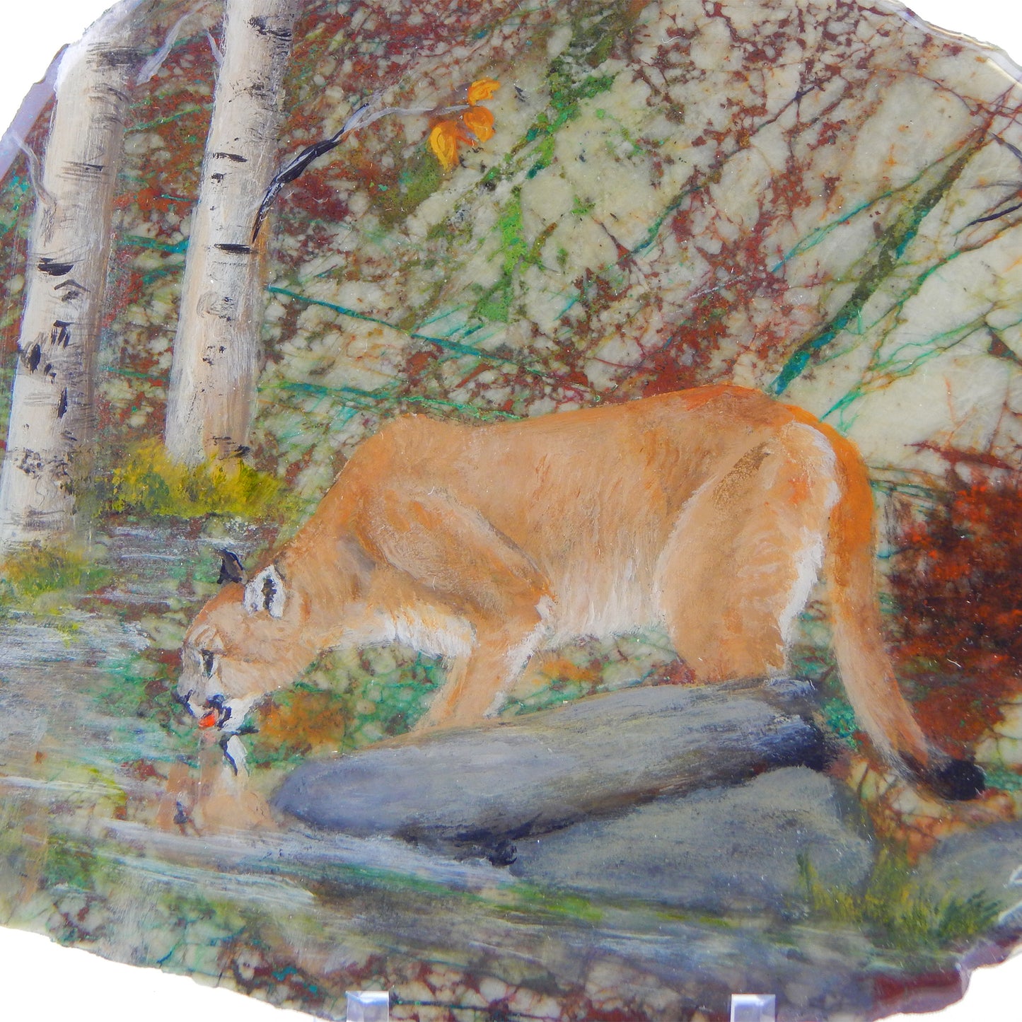 Cougar on Granite & Chrysocolla