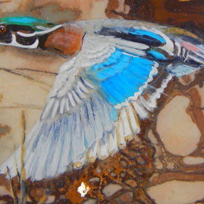 Wood Duck on Jasper